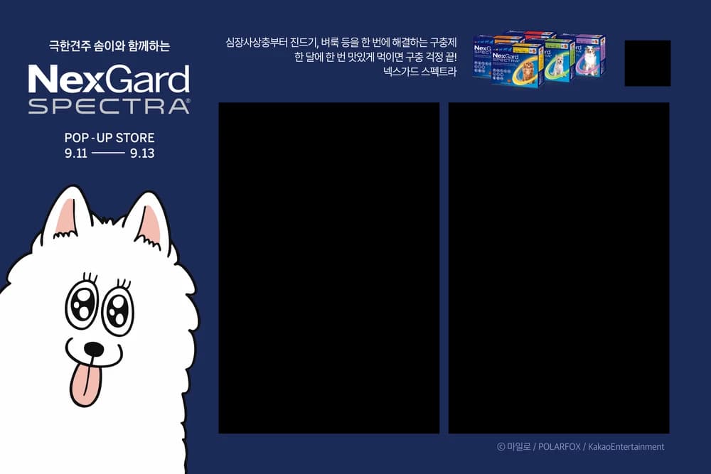 NexGard · Seongsu Pop-up · フレーム1を拡大