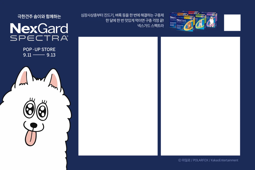 NexGard · Seongsu Pop-up · View frame 1